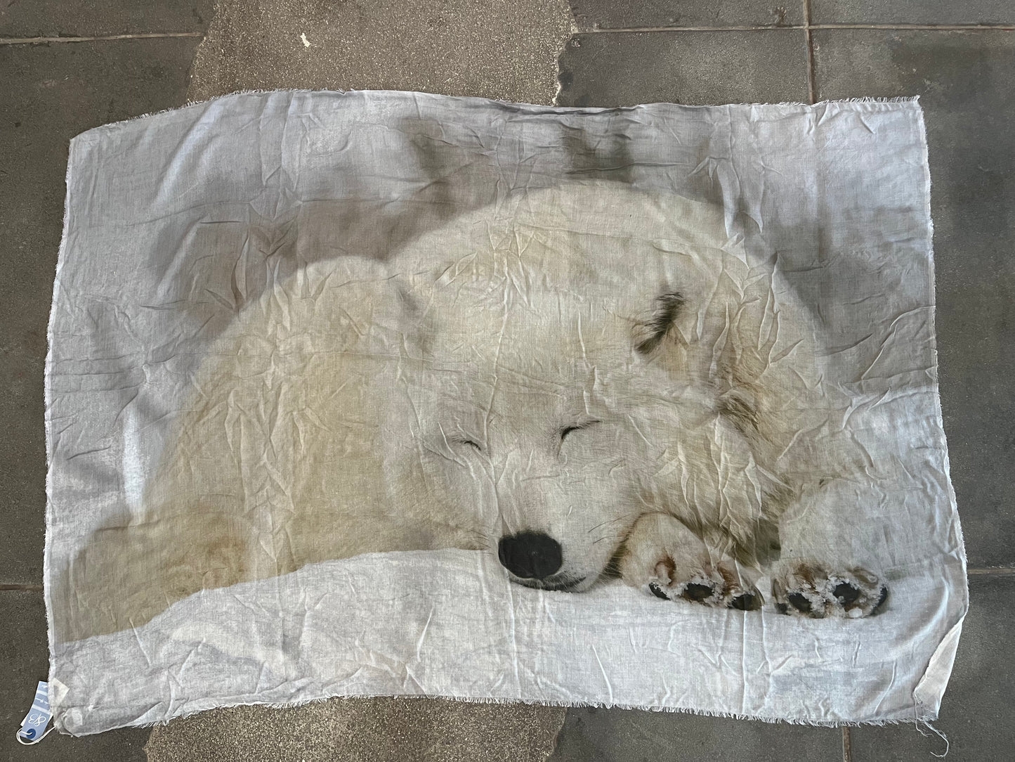 813 Ottotredici Wolf in Snow Scarf