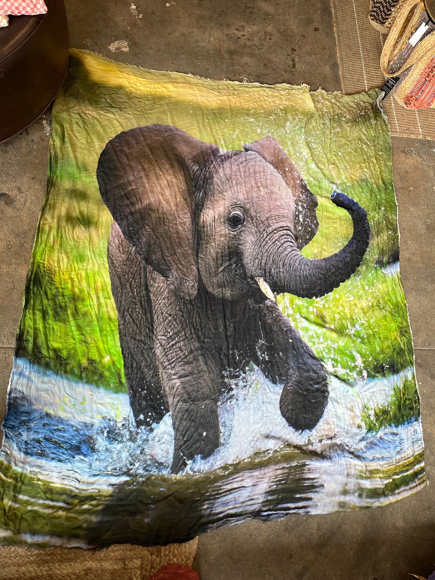 813 Ottotredici Elephant Scarf