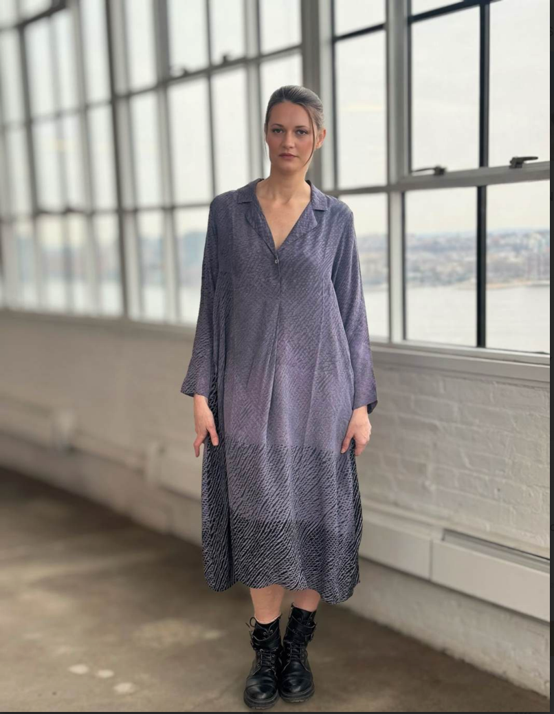 Raag Long Sleeve Ombre Dress