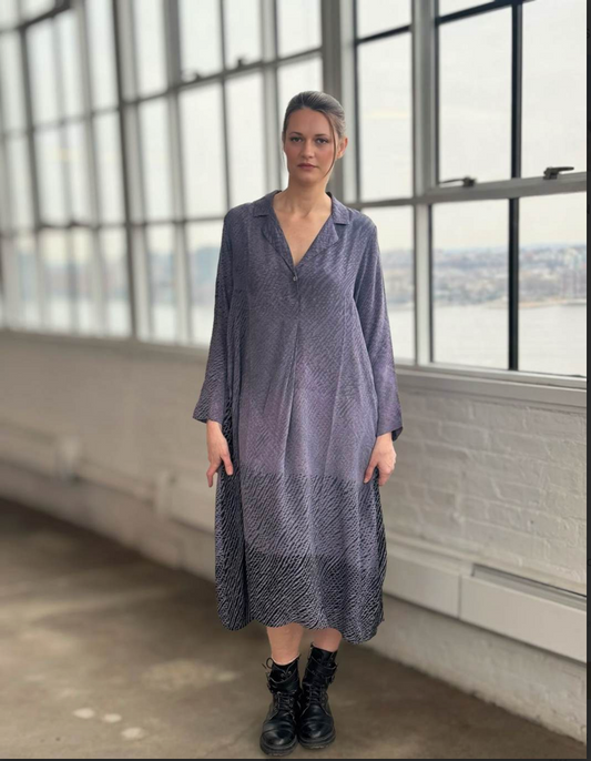 Raag Long Sleeve Ombre Dress