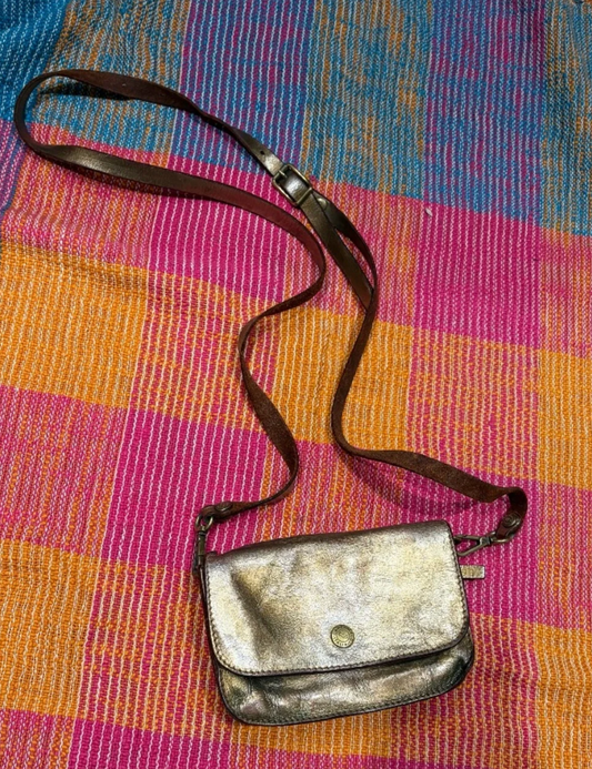 Campomaggi Mini Crossbody Bag in Metallic (Vintage)